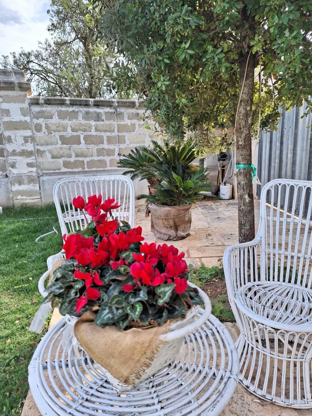 B&B Le Torri Santeramo in Colle Bagian luar foto